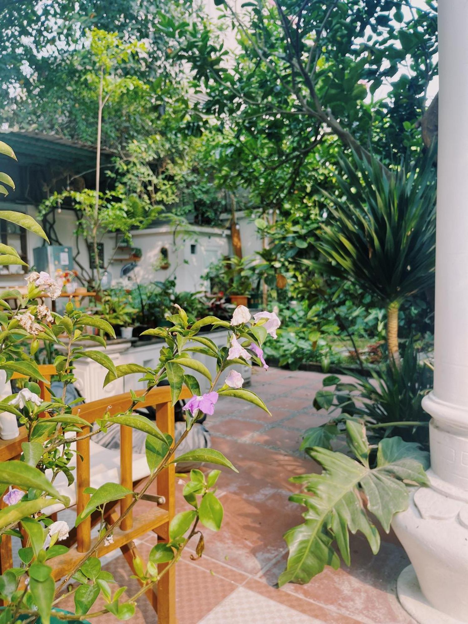 1.Home Hà Nội Ngoại thất bức ảnh